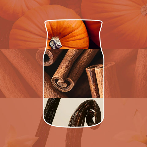 Yankee Candle - Spiced Pumpkin - Signature 2 Docht Duftkerze - 567g