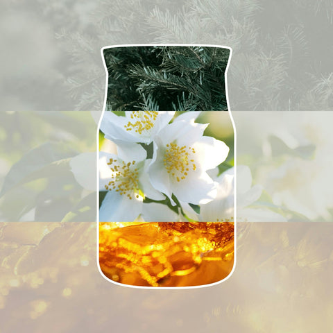 Yankee Candle - Silver Birch - Signature Duftkerze - 110g