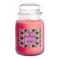 Price´s Candles – Bubbleberry – Duftkerze – 560g – Bild 2