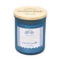 Raumdüfte von Paddywax jetzt online kaufen | AlletDufte.de