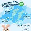Brush-Baby – Chewable Toothbrush Kau-Zahnbürste – 10-36 Monate – Doppelpack – Bild 3