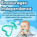 Brush-Baby – My FirstBrush & FirstTeether Set – 0-18 Monate – Bild 7