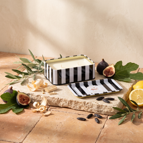 Paddywax Adopo Tiger – Cedar & Fig Duftkerze mit Duftzutaten: Olivenblätter, Zitrone, schwarze Feige, Feigenblätter, Pappelholz und Tonkabohne