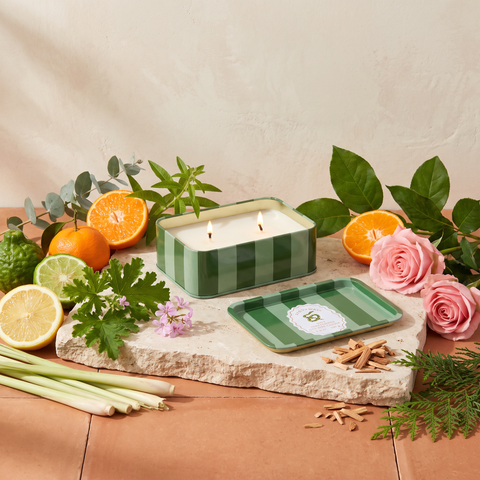 Paddywax Adopo Snake – Wild Lemongrass Duftkerze mit Duftzutaten: Zitrone, Eukalyptus, Mandarine, Bergamotte, Eisenkraut, Zitronengras, Geranie, Rose, Zeder und Sandelholz