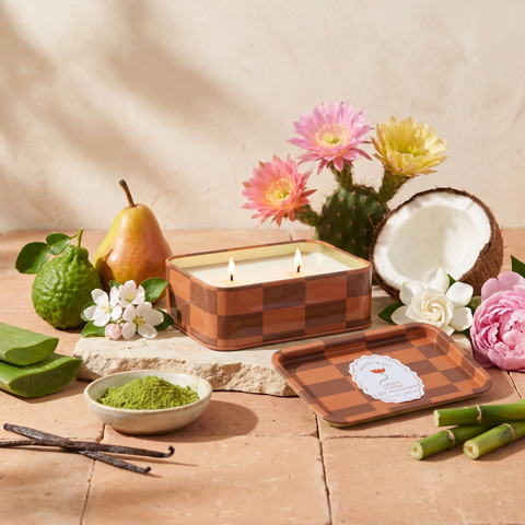 Paddywax Adopo Flower – Cactus Flower Duftkerze mit Duftzutaten: Bergamotte, Birne, Apfelblüte, Kokoswasser, Kaktusblüte, Gardenie, Pfingstrose, Aloe Vera, Matcha, Vanille und Bambus