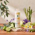 Paddywax Spark - Love is Love is - Duftkerze - 300g mit Duftzutaten: Eukalyptus, Limette, Kardamom, Gurke, Melone, Iris, Veilchen, Plumeria, Zitronengras, Sandelholz, Bambus und Zeder