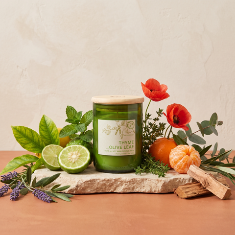 Paddywax Eco Green - Thyme & Olive Leaf - Duftkerze - 226g mit Duftzutaten: Pfefferminze, Zitronenblätter, Limette, wilde Mandarine, Bergamotte, Mohn, Thymian, Lavendel, Eukalyptus, Geranie, Patchouli und Zedernholz