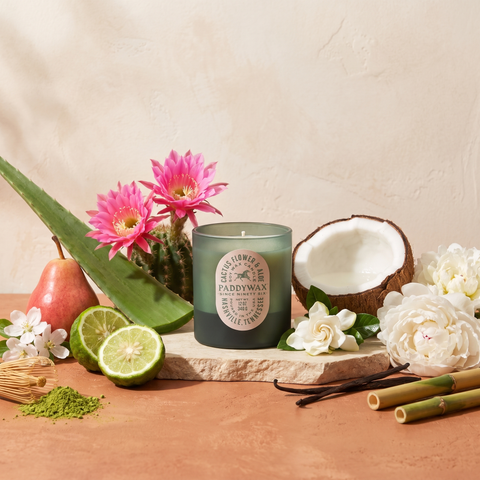 Paddywax Vista - Cactus Flower & Aloe - Duftkerze - 340g mit Duftzutaten: Bergamotte, Birne, Apfelblüte, Kokoswasser, Kaktusblüte, Gardenie, weiße Pfingstrose, Aloe Vera, Matcha, Maiglöckchen, Vanille und Bambus