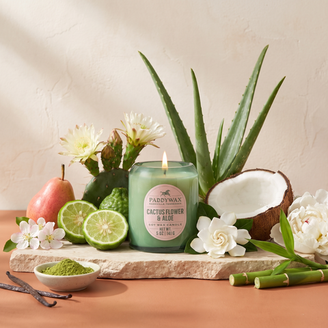 Paddywax Vista - Cactus Flower & Aloe - Duftkerze - 141g mit Duftzutaten: Bergamotte, Birne, Apfelblüte, Kokoswasser, Kaktusblüte, Gardenie, weiße Pfingstrose, Aloe Vera, Matcha, Maiglöckchen, Vanille und Bambus