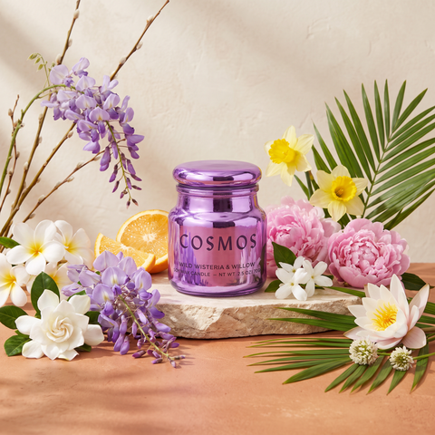 Paddywax Chroma - Wisteria & Willow - Duftkerze - 71g mit Duftzutaten: Glyzinie, Zitrus, Frangipani, Gardenie, Pfingstrose, Narzisse, Jasmin, Seerose, Weißklee, Bambus, Palmblatt und Weißeiche