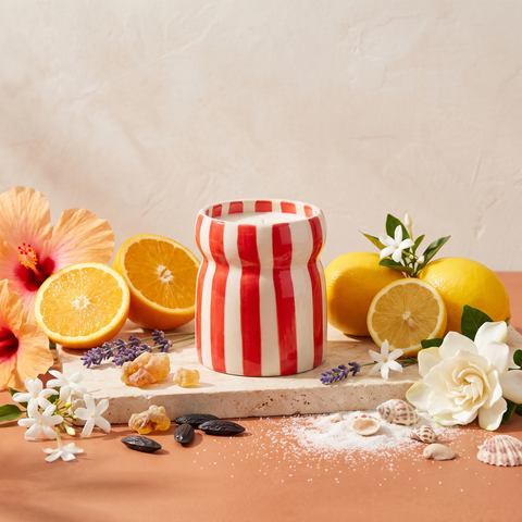 Paddywax Cabana - Hibiscus Bay - Keramik Duftkerze - 184g mit Duftzutaten: Zitrusfrüchte, Meeresnebel, Meyer-Zitrone, Lavendel, Jasmin, Gardenie, Amber, Moschus und Tonkabohne