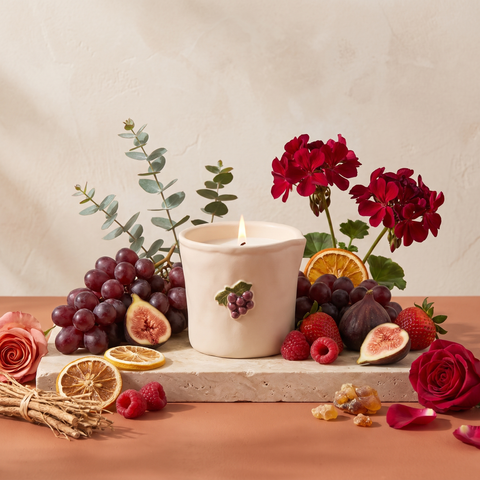 Paddywax Bistro - Bordeaux Grape - Keramik Duftkerze - 226g mit Duftzutaten: Eukalyptus, Orange, Zitrone, Erdbeere, Weintrauben, Feige, Himbeere, Geranie, Rose, Vetiver, Amber und Moschus