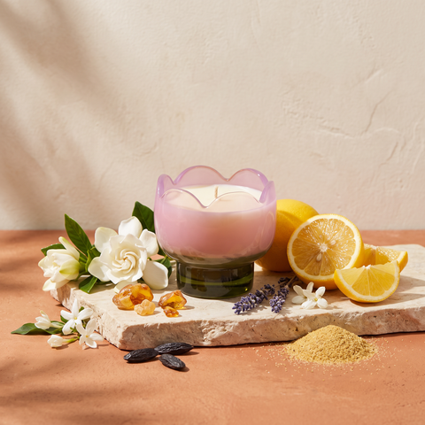 Paddywax Tulip - Bronzed Gardenia - Duftkerze - 155g mit Duftzutaten: Zitrus, Ozeannebel, Meyer-Zitrone, Lavendel, Jasmin, Gardenie, Bernstein, süßer Moschus und Tonkabohne