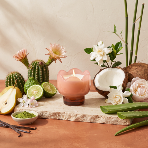 Paddywax Tulip - Cactus Flower - Duftkerze - 155g mit Duftzutaten: Bergamotte, Birne, Apfelblüte, Kokoswasser, Kaktusblüte, Gardenie, Pfingstrose, Aloe Vera, Matcha, Vanille und Bambus