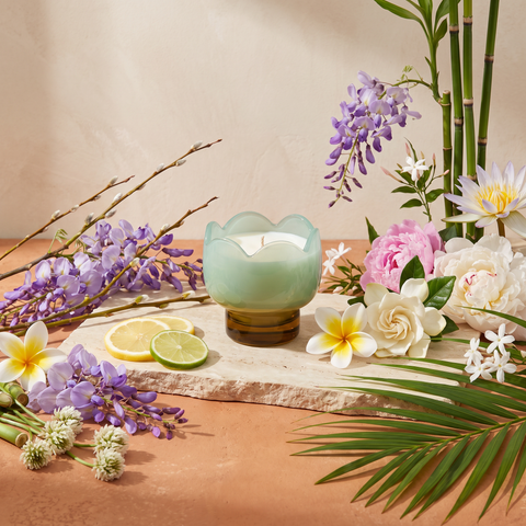Paddywax Tulip - Wisteria & Willow - Duftkerze - 155g mit Duftzutaten: Zitrus, Plumeria, Gardenie, Pfingstrose, Jasmin, Blauregen, Wasserlilie, Weißklee, Bambus, Palmblatt und Weißeiche