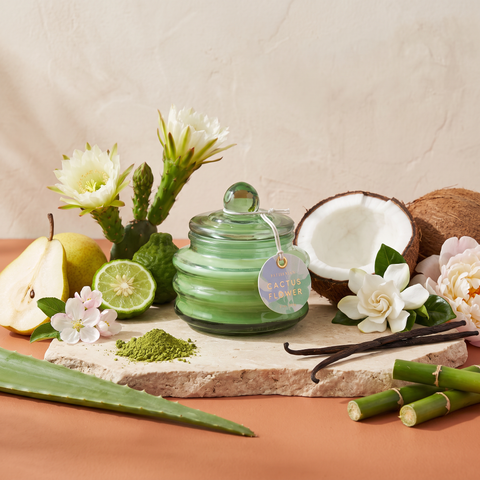 Paddywax Beam - Cactus Flower - Duftkerze - 85g mit Duftzutaten: Bergamotte, Birne, Apfelblüte, Kokoswasser, Kaktusblüte, Gardenie, Pfingstrose, Aloe Vera, Matcha, Vanille und Bambus