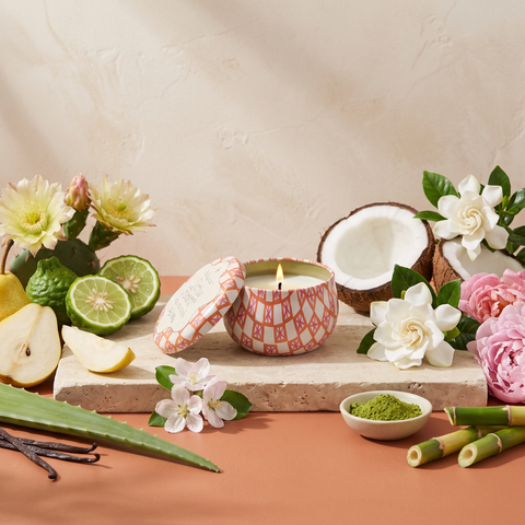 Paddywax Tulip - Cactus Flower - Duftkerze - 56g mit Duftzutaten: Bergamotte, Birne, Apfelblüte, Kokoswasser, Kaktusblüte, Gardenie, Pfingstrose, Aloe Vera, Matcha, Vanille und Bambus