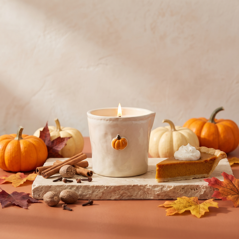 Paddywax Bistro - Pumpkin Spice - Keramik Duftkerze - 226g mit Duftzutaten: Kürbis, Zimt, Muskat und Nelke