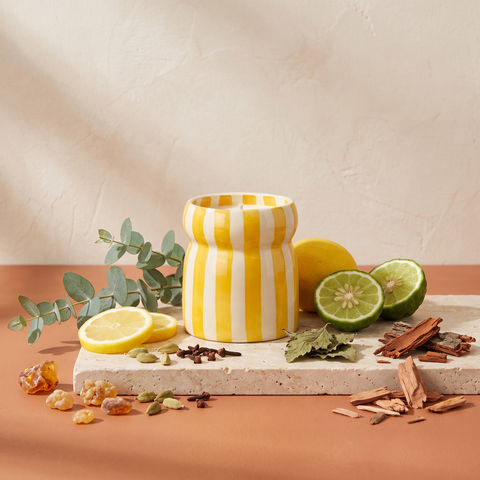 Paddywax Cabana - Gold Coast - Keramik Duftkerze - 184g mit Duftzutaten: Eukalyptus, Zitrone, Bergamotte, Kardamom, Gewürznelke, Leder, Moschus, Whisky, Amber, Patchouli, Mammutbaum und Zedernholz