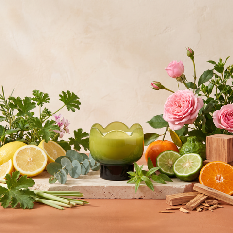 Paddywax Tulip - Verbena & Lemongrass - Duftkerze - 155g mit Duftzutaten: Zitrone, Eukalyptus, Mandarine, Bergamotte, wilde Verbene, Zitronengras, Geranienblatt, Rose, Moschus, Zeder und Sandelholz