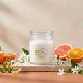 Yankee Candle Midnight Jasmine - Signature 2 Docht Duftkerze - 368g mit Duftzutaten: Grapefruit, Mandarinenblüte, Neroli, Orange, Wasserjasmin, Geißblatt, Moschus und pudrige Noten