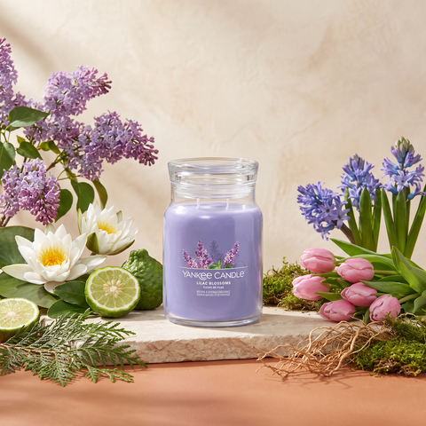 Yankee Candle Lilac Blossom - Signature 2 Docht Duftkerze - 368g mit Duftzutaten: grüne Noten, Wasserlilie, Bergamotte, Flieder, Tulpenknospen, Hyazinthe, Zedernblätter, Vetiver und Moos