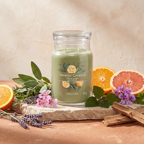 Yankee Candle Sage & Citrus - Signature 2 Docht Duftkerze - 567g mit Duftzutaten: Kräuter, Lavendel, Zitrusfrüchte, Geranie, Patschuli, Moschus, holzige Noten und pudrige Noten