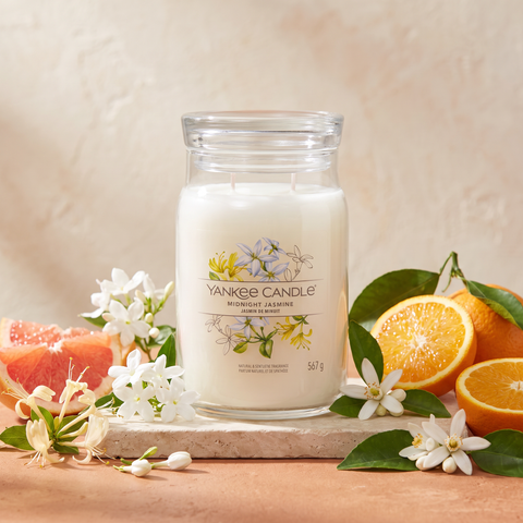 Yankee Candle Midnight Jasmine - Signature 2 Docht Duftkerze - 567g mit Duftzutaten: Grapefruit, Mandarinenblüte, Neroli, Orange, Wasserjasmin, Geißblatt, Moschus und pudrige Noten