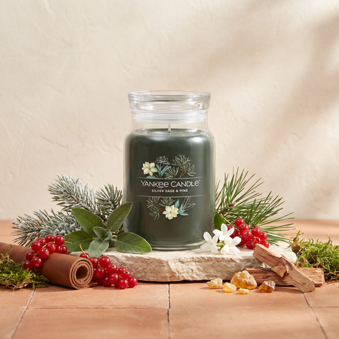 Yankee Candle Silver Sage & Pine - Signature 2 Docht Duftkerze - 567g mit Duftzutaten: Johannisbeere, Muskatellersalbei, Aldehyde, Kiefernnadel, Leder, Jasmin, Zedernholz, Bernstein und Moos