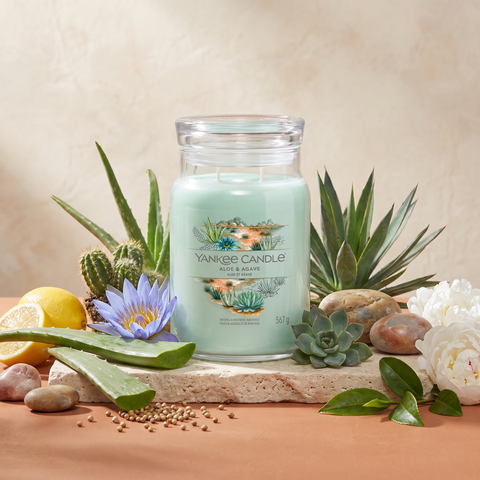 Yankee Candle Aloe & Agave - Signature 2 Docht Duftkerze - 567g mit Duftzutaten: grüne Noten, Zitrone, Kaktuswasser, Aloe, blauer Lotus, Koriander, weiße Pfingstrose, Hölzer, Moschus, Teeblätter und Agave