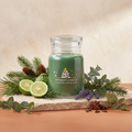 Yankee Candle Shimmering Christmas Tree - Signature 2 Docht Duftkerze - 368g mit Duftzutaten: Aldehyde, Bergamotte, Grün, Tannennadel, Lavendel, Eukalyptus, Tannenbalsam, Patschuli und Gewürze
