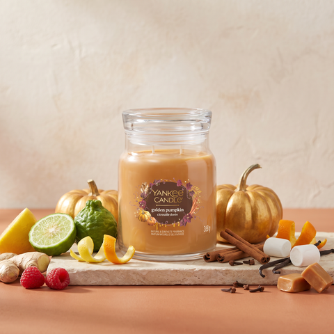 Yankee Candle Golden Pumpkin - Signature 2 Docht Duftkerze - 368g mit Duftzutaten: Bergamotte, Zitronenschale, Himbeeren, Orangenschale, Ingwer, Zimt, Gewürznelke, Vanille, Marshmallow, Karamell, Moschus und Sandelholz