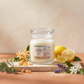 Yankee Candle Sun & Sand - Signature 2 Docht Duftkerze - 368g mit Duftzutaten: Orangenblüte, Zitrone, Elemi, Eukalyptus, Lavendel, Neroli, pudrige Noten und Moschus