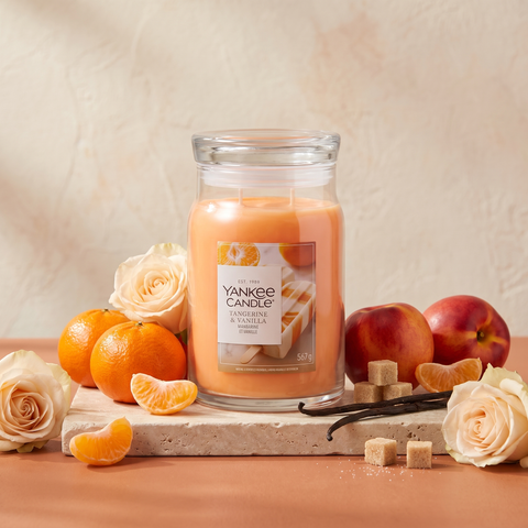 Yankee Candle Tangerine & Vanilla - Signature 2 Docht Duftkerze - 567g mit Duftzutaten: Mandarine, Bellini, Nektarine, Rose, Vanille und Zucker