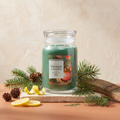 Yankee Candle Tree Trimming - Signature 2 Docht Duftkerze - 567g mit Duftzutaten: Zitrusnoten, Nadeln, Tannenzapfen, Zitronenschale, Balsam, Kiefer und Bourbon
