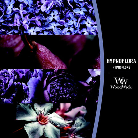 WoodWick - Hypnoflora - Ellipse - 454g