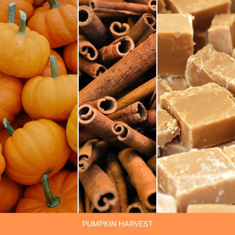 Yankee Candle - Pumpkin Harvest - Duftkerze - 340g