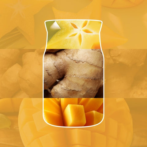 Yankee Candle - Starfruit & Sunshine - Signature 2 Docht Duftkerze - 567g