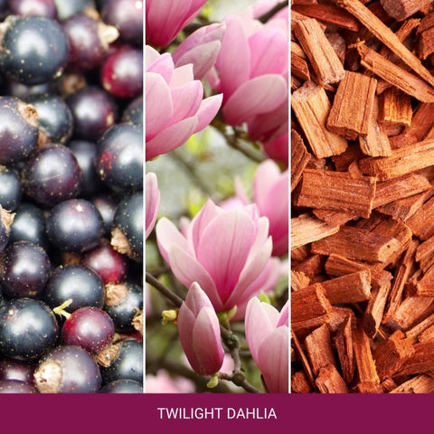 Yankee Candle - Twilight Dahlia - Duftkerze - 340g